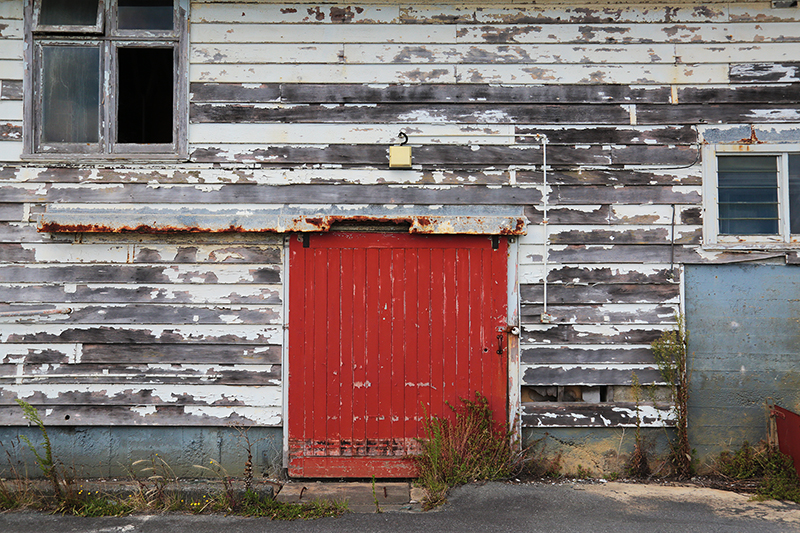 Street Scenes : Wellington : New Zealand : Richard Moore : Journalist : Photographer :